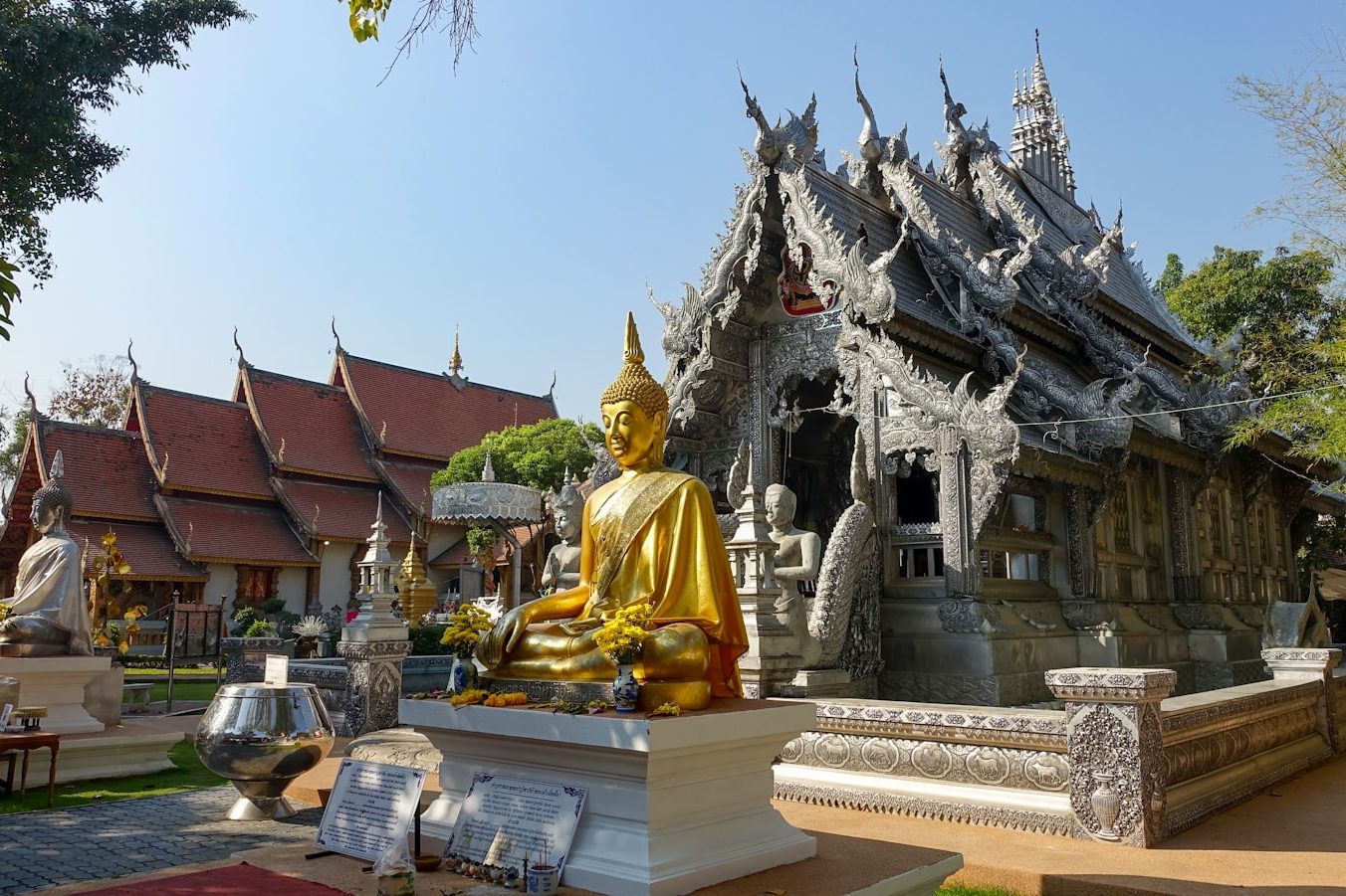shallow focus photo of Gautama Buddha statue