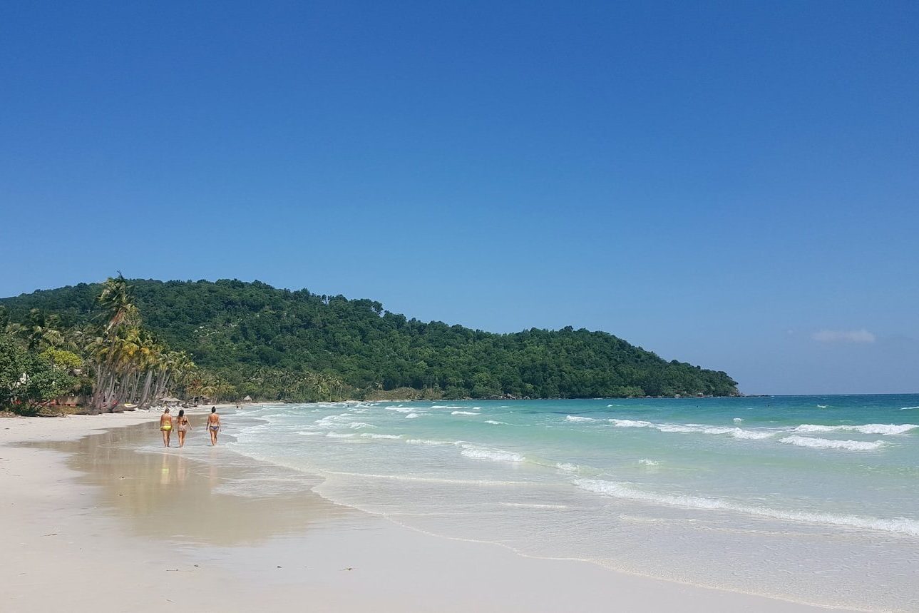 people on beach during daytime