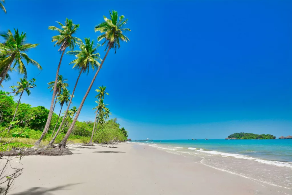 a beach with palm trees and blue water