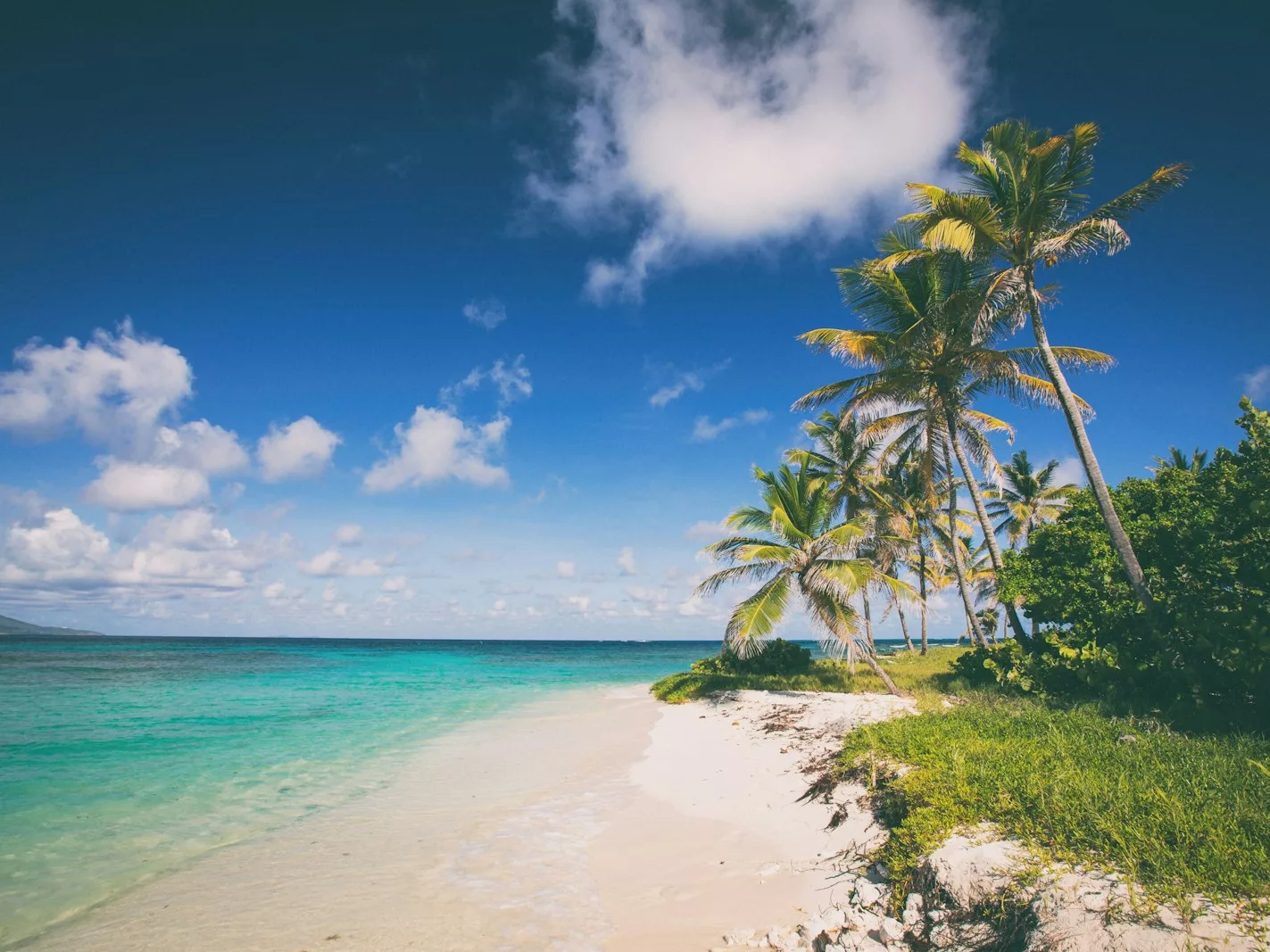 a beach with palm trees and blue water